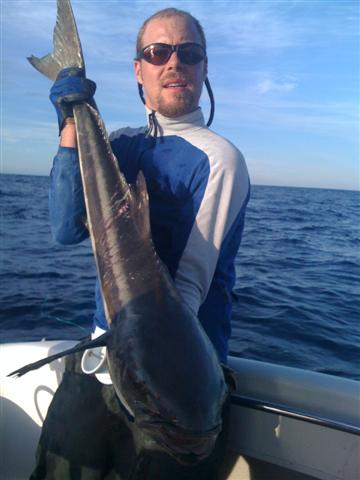 Cobia